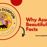 Beautiful Assam